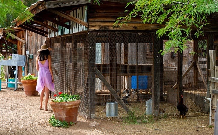 The Farm at South Mountain, credit An Pham