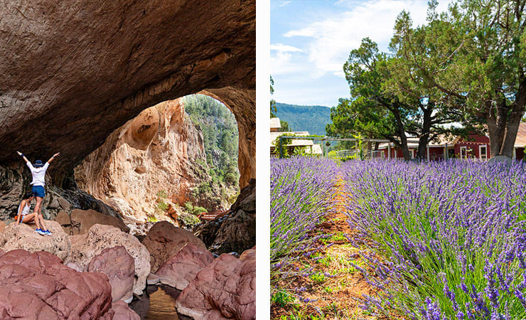 Two images - two hiker stand before an opening of a natural stone bridge. In the other image, a field of lavender sits in front of a red farmhouse.