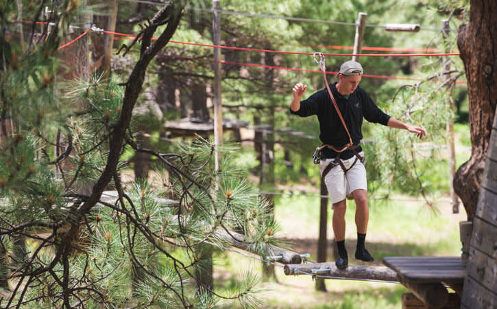 A man in a harness navigates a tricky wooden obstacle course set amongst pine trees