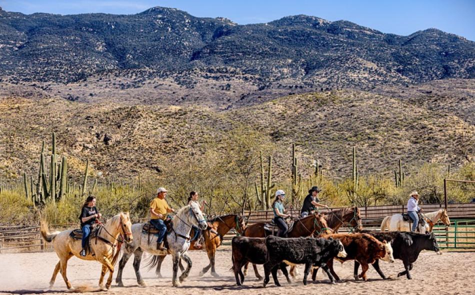 Why Your Next Vacay Should be an Arizona Dude Ranch