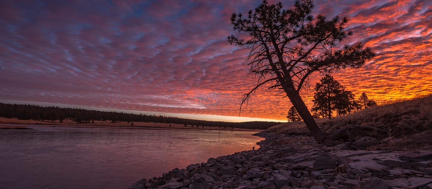 Luna Lake at sunset with a tree standing on the rocky foreshore silhouetted by the light. 