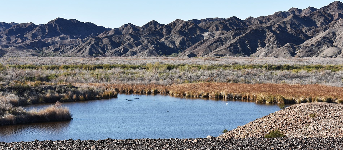 IMPERIAL NATIONAL WILDLIFE REFUGE