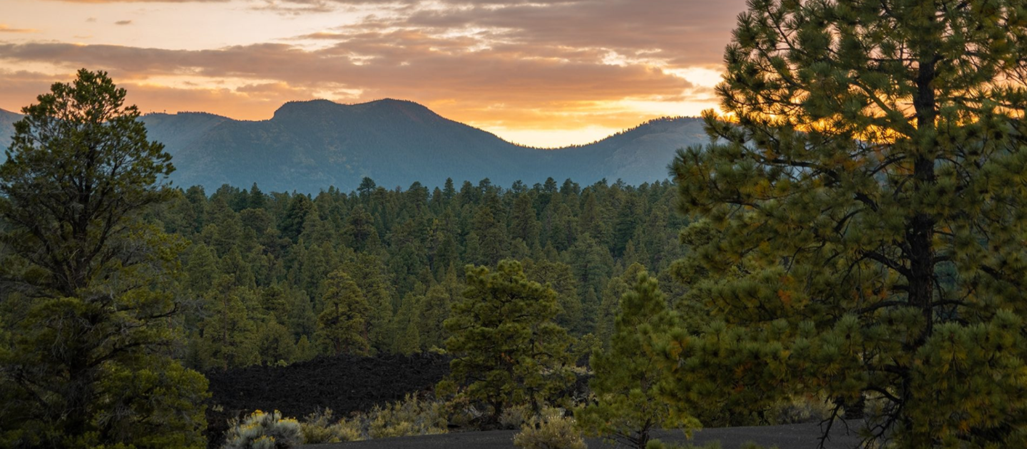 SUNSET CRATER VOLCANO NATIONAL MONUMENT