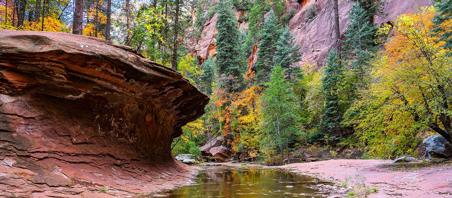 WEST FORK OF OAK CREEK